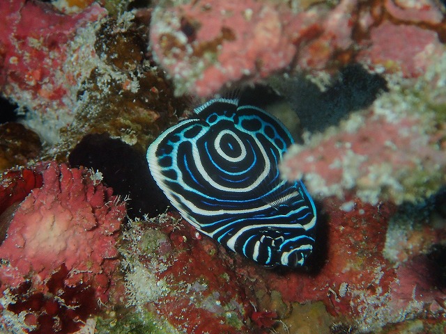 20151201182737.jpg 20151201182737.jpg