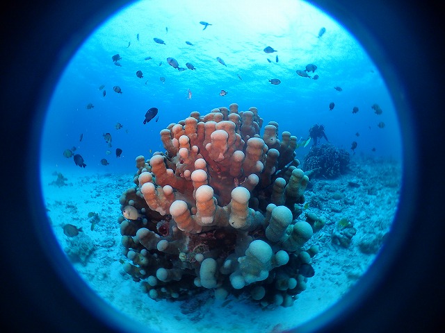 20151201182738.jpg 20151201182738.jpg