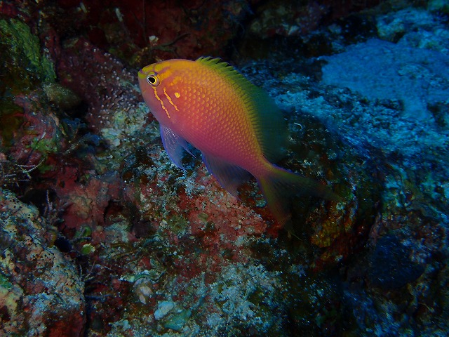 20151201182741.jpg 20151201182741.jpg