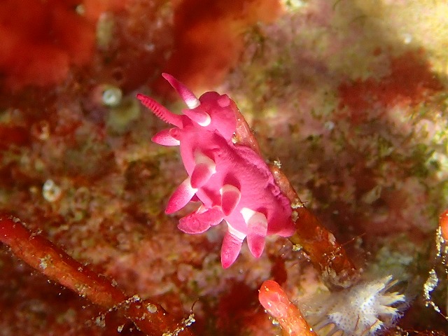 20151201182742.jpg 20151201182742.jpg