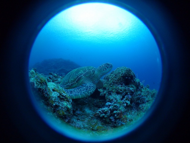 20151201182743.jpg 20151201182743.jpg