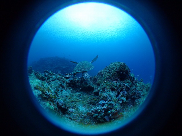 20151201182744.jpg 20151201182744.jpg