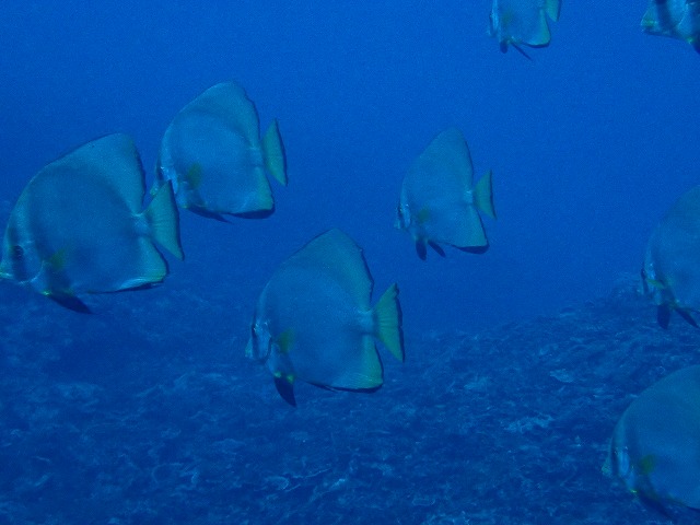 20160104174504.jpg 20160104174504.jpg