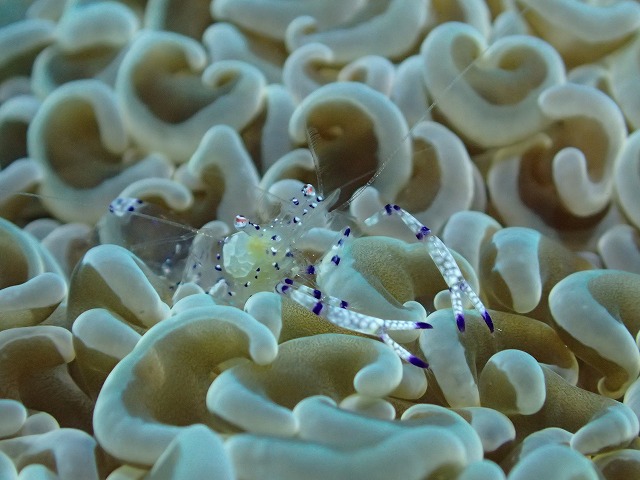 20160104174505.jpg 20160104174505.jpg