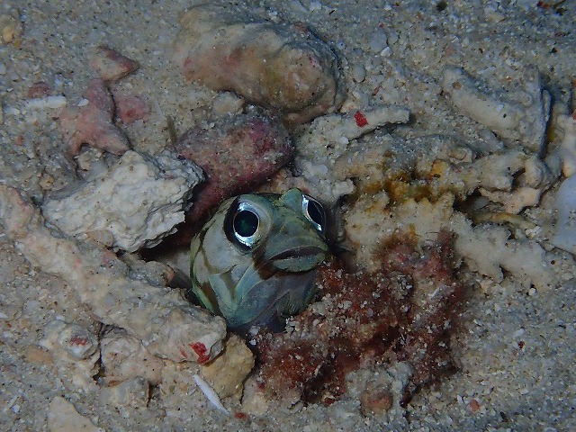 20160104174507.jpg 20160104174507.jpg