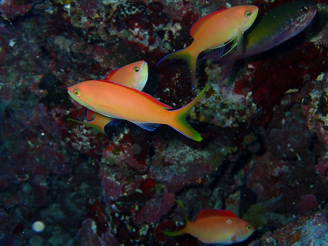 20160104174509.jpg 20160104174509.jpg