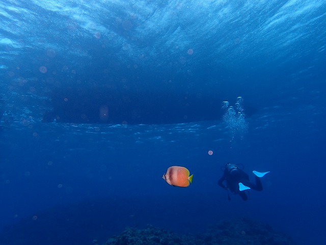 20160104174510.jpg 20160104174510.jpg