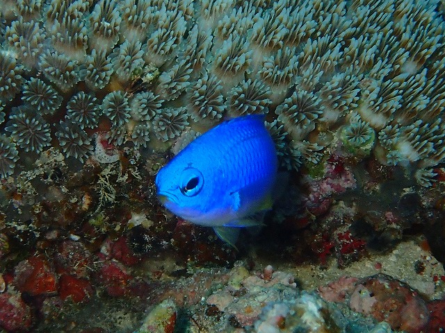 20160104174511.jpg 20160104174511.jpg