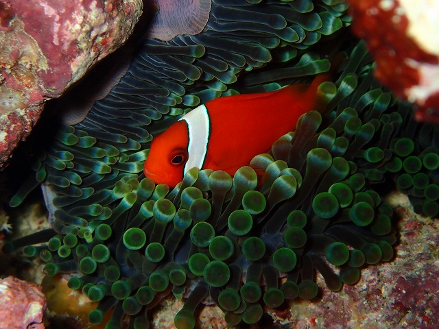 20160310172743.jpg 20160310172743.jpg