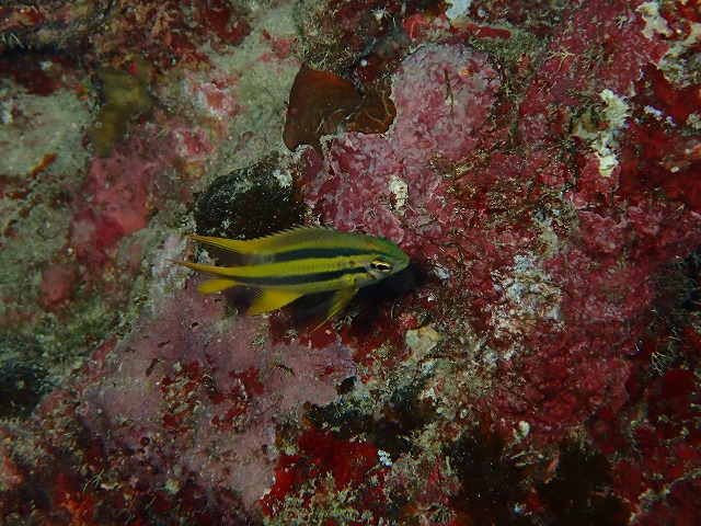 20160310172745.jpg 20160310172745.jpg