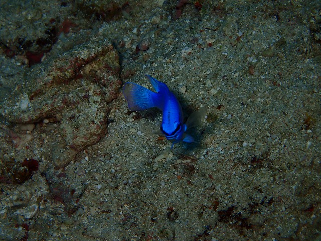 20160310172747.jpg 20160310172747.jpg