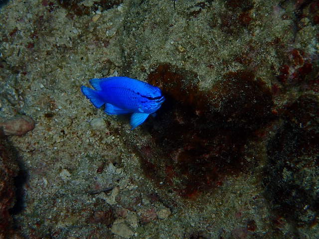 20160310172748.jpg 20160310172748.jpg