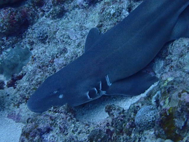 20160310172749.jpg 20160310172749.jpg