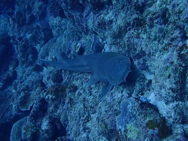 20160310172750.jpg 20160310172750.jpg