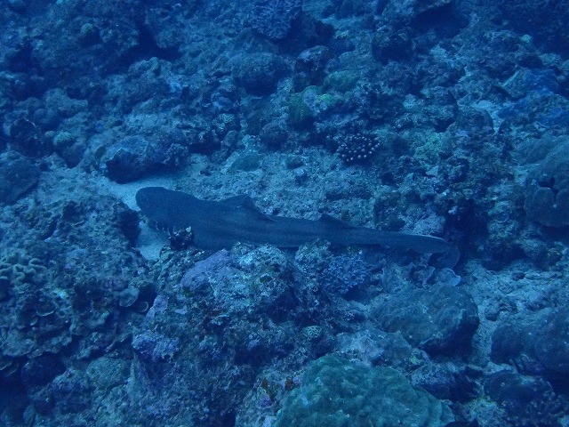 20160310172752.jpg 20160310172752.jpg