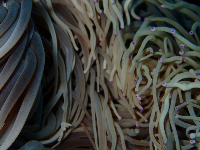 20160310172928.jpg 20160310172928.jpg