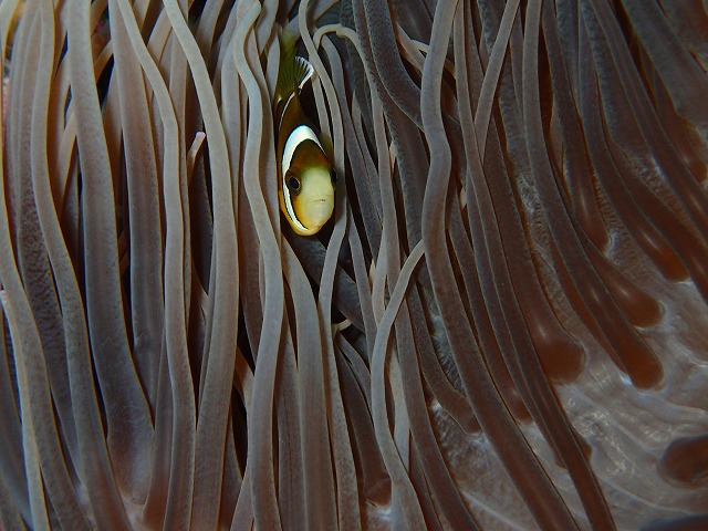 20160310172929.jpg 20160310172929.jpg