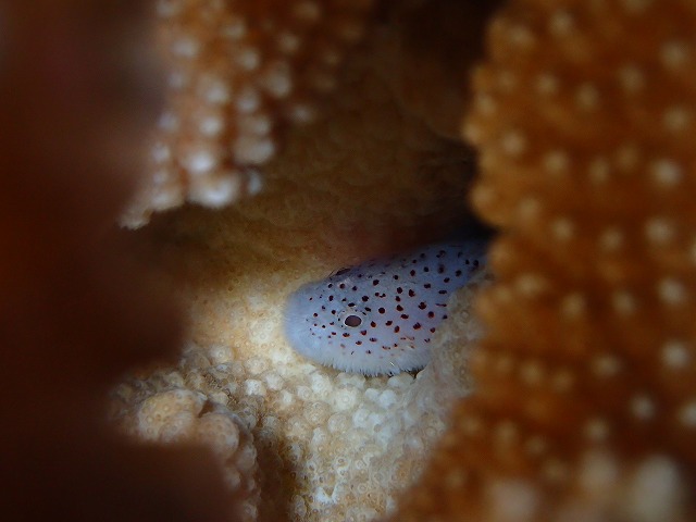 20160310172930.jpg 20160310172930.jpg