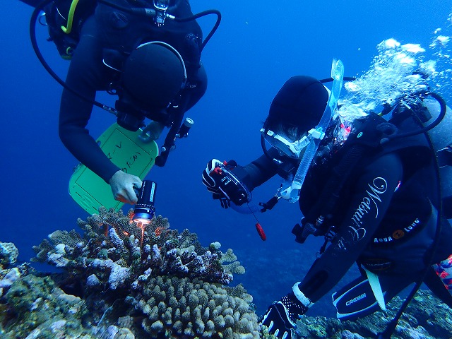 20160310172931.jpg 20160310172931.jpg